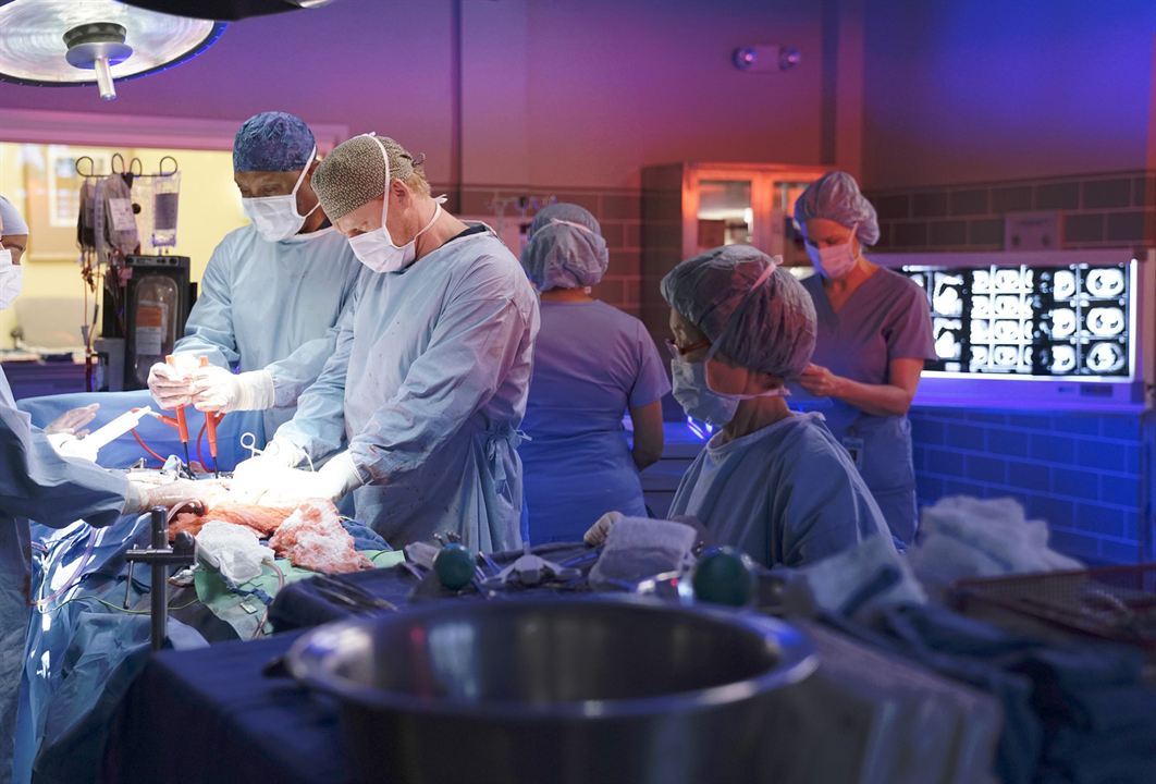 Grey's Anatomy - Die jungen Ärzte : Bild Kevin McKidd, James Pickens Jr.