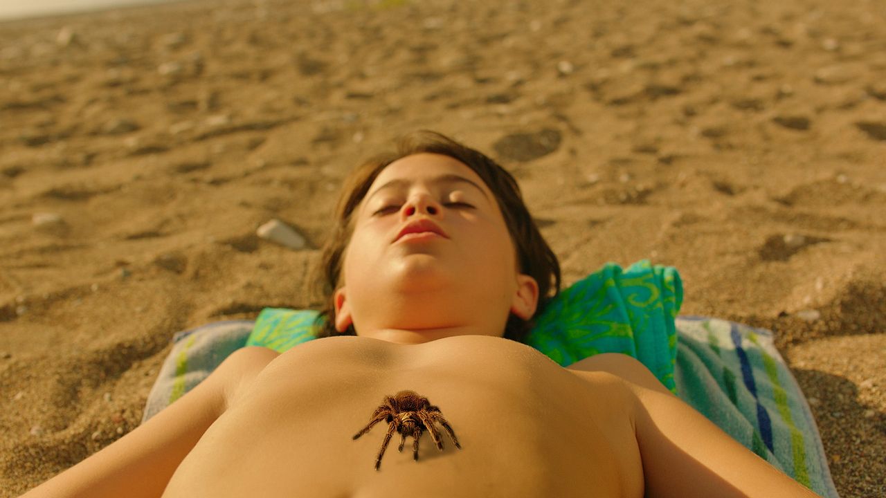 Sen Benim Herşeyimsin : Bild Tan Çevik