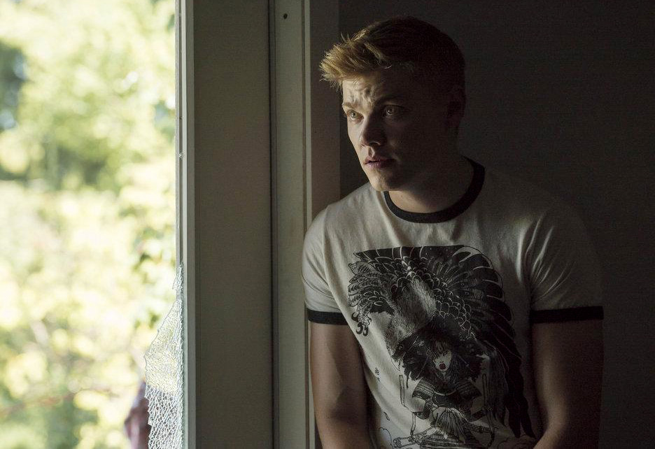 Bild Levi Meaden