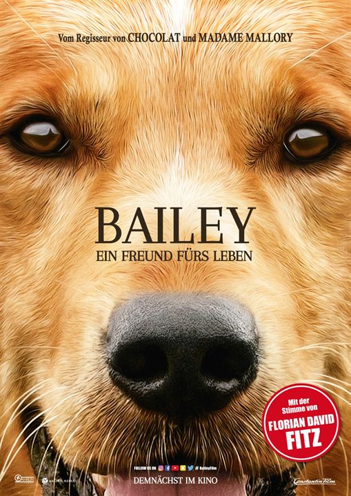 Bailey - Ein Freund fürs Leben : Kinoposter