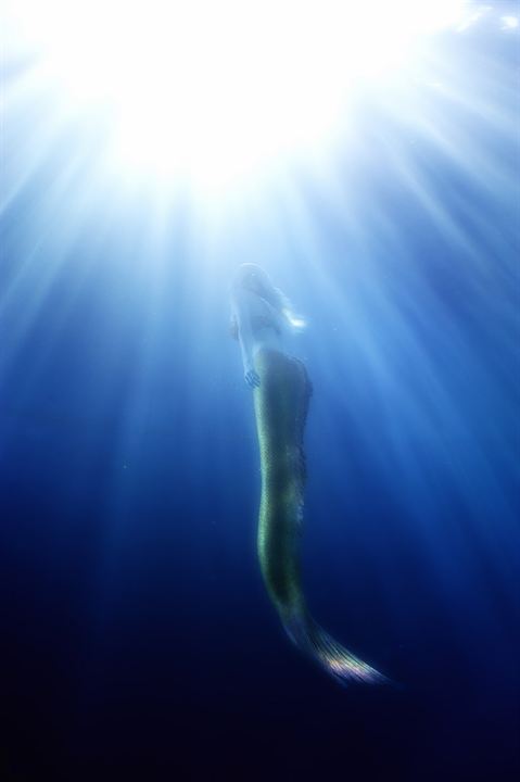 H2O - Plötzlich Meerjungfrau: Der Spielfilm zur 3. Staffel : Bild