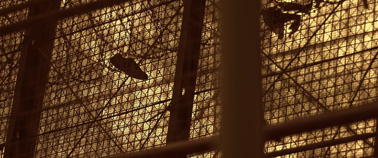 Frágil equilibrio : Bild