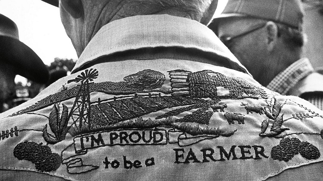 Look and See: A Portrait of Wendell Berry : Bild