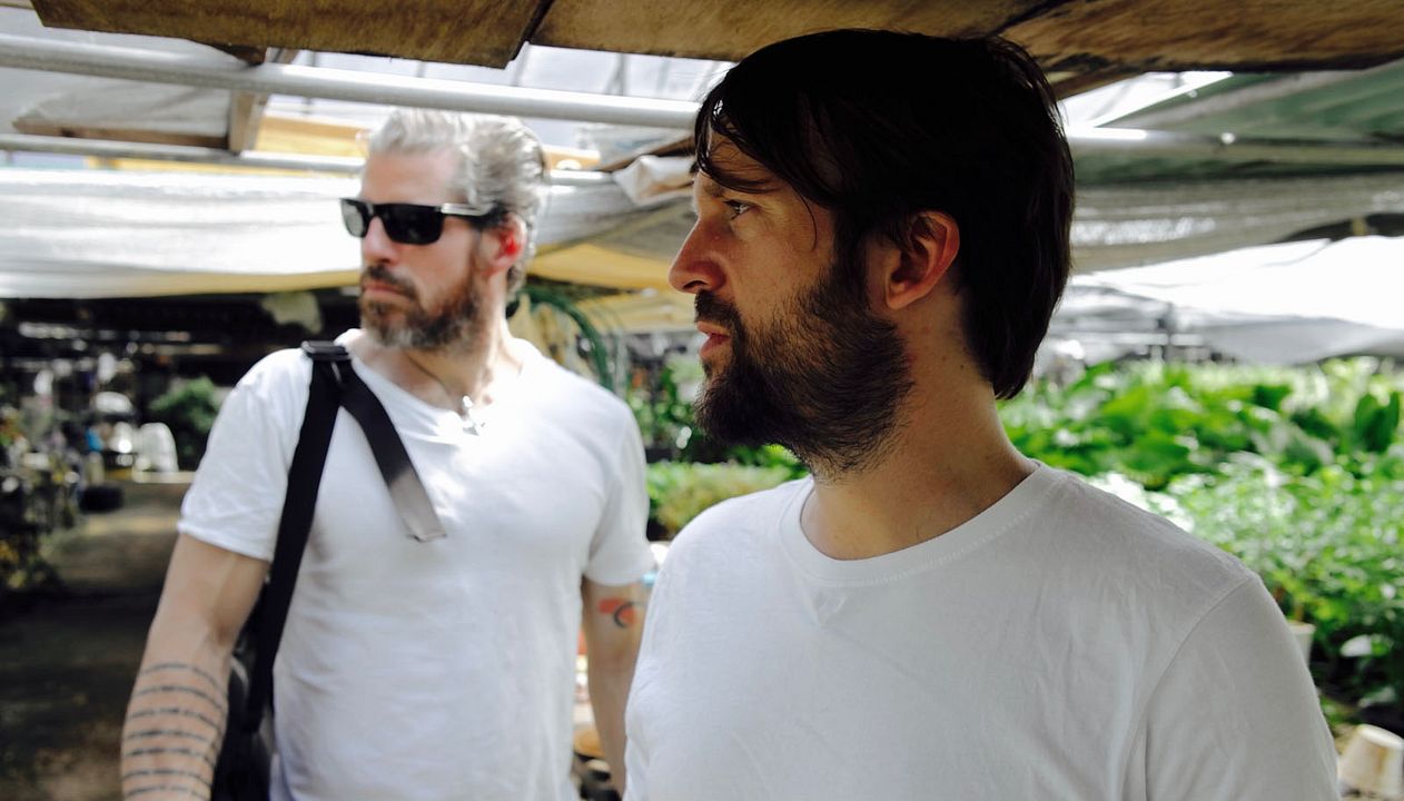 Ants on a Shrimp : Bild