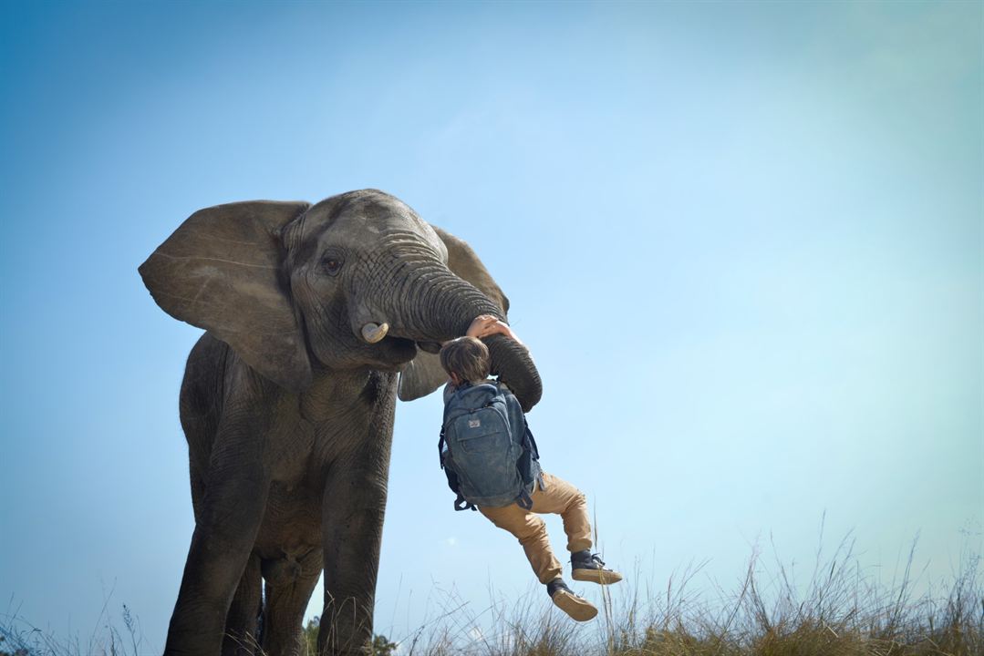 Kleine Helden, große Wildnis 2 - Abenteuer Serengeti : Bild John Paul Ruttan