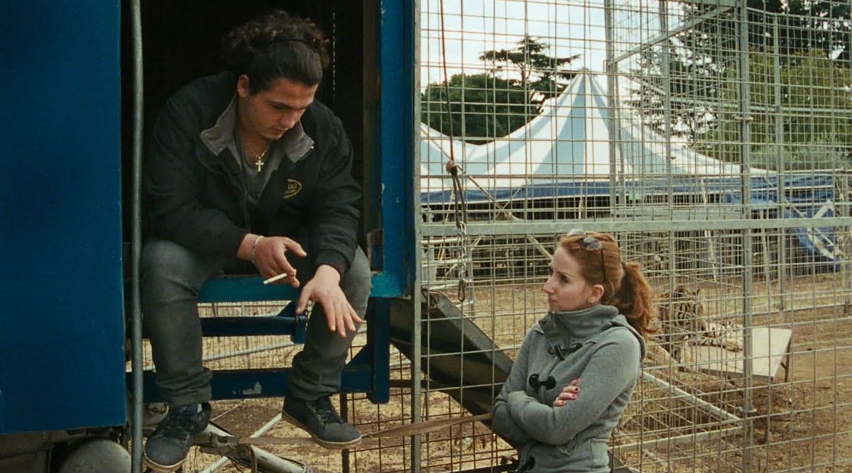 Mister Universo : Bild