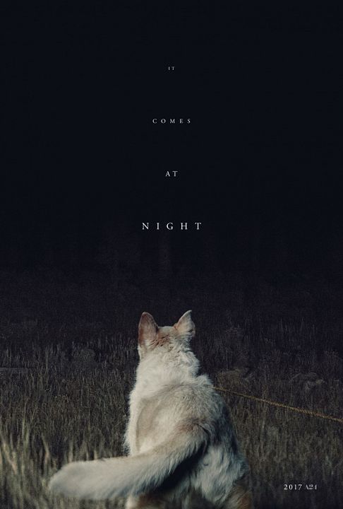 It Comes At Night : Kinoposter