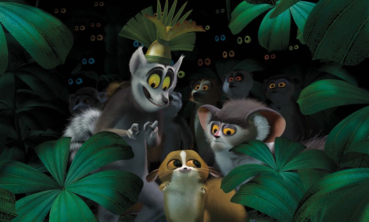 Madagascar : Bild