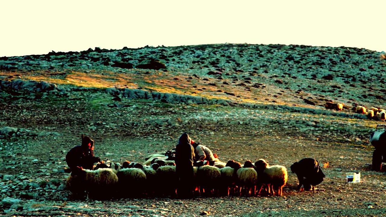 Zeitgeist Protest : Bild