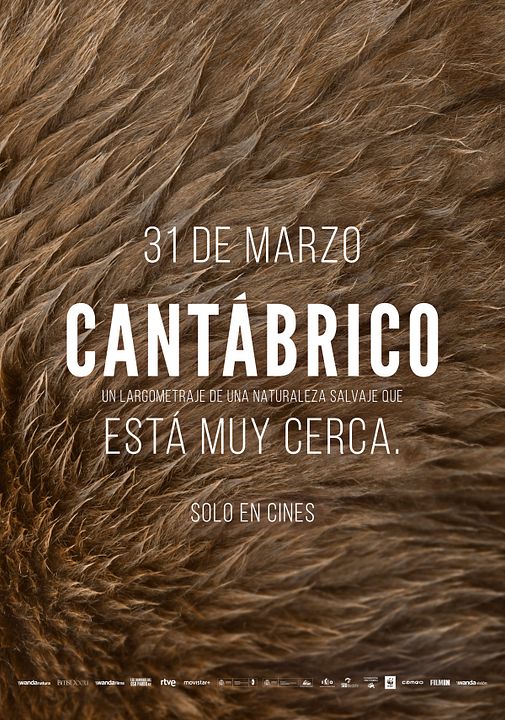 Cantábrico: Los dominios del oso pardo : Kinoposter