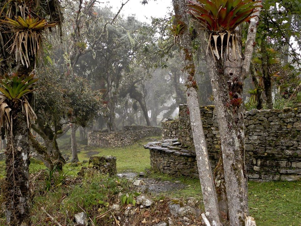 El sueño de Antonio Raimondi: El Perú : Bild