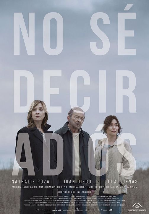 No Sé Decir Adiós : Kinoposter