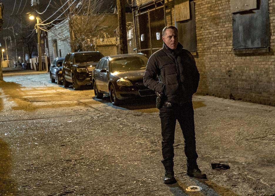 Chicago PD : Bild Jason Beghe