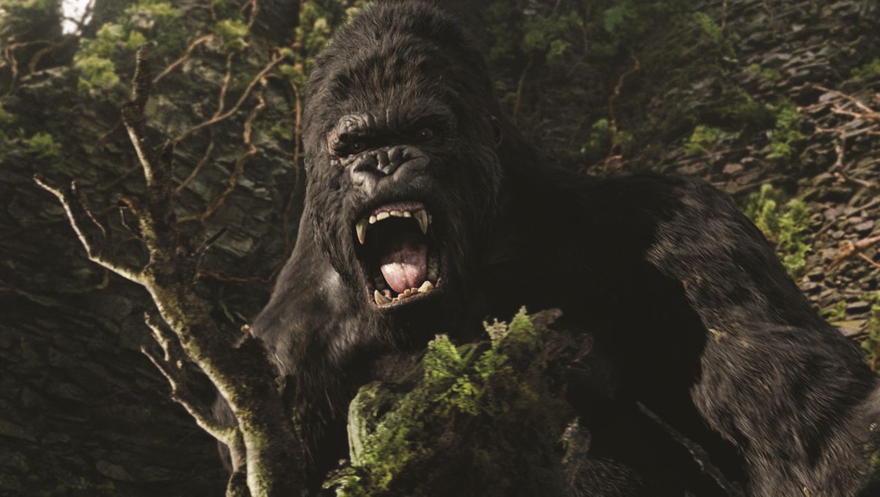 King Kong : Bild