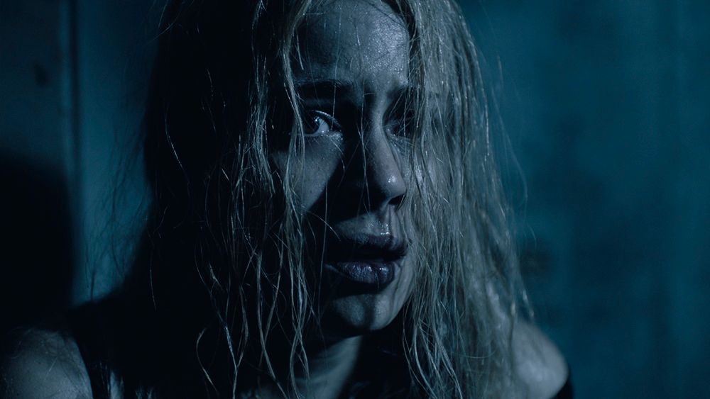 The Trace We Leave Behind : Bild