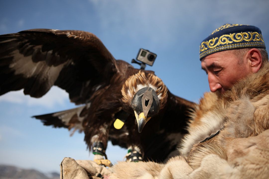The Eagle Huntress : Bild