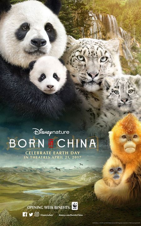 Born In China : Kinoposter