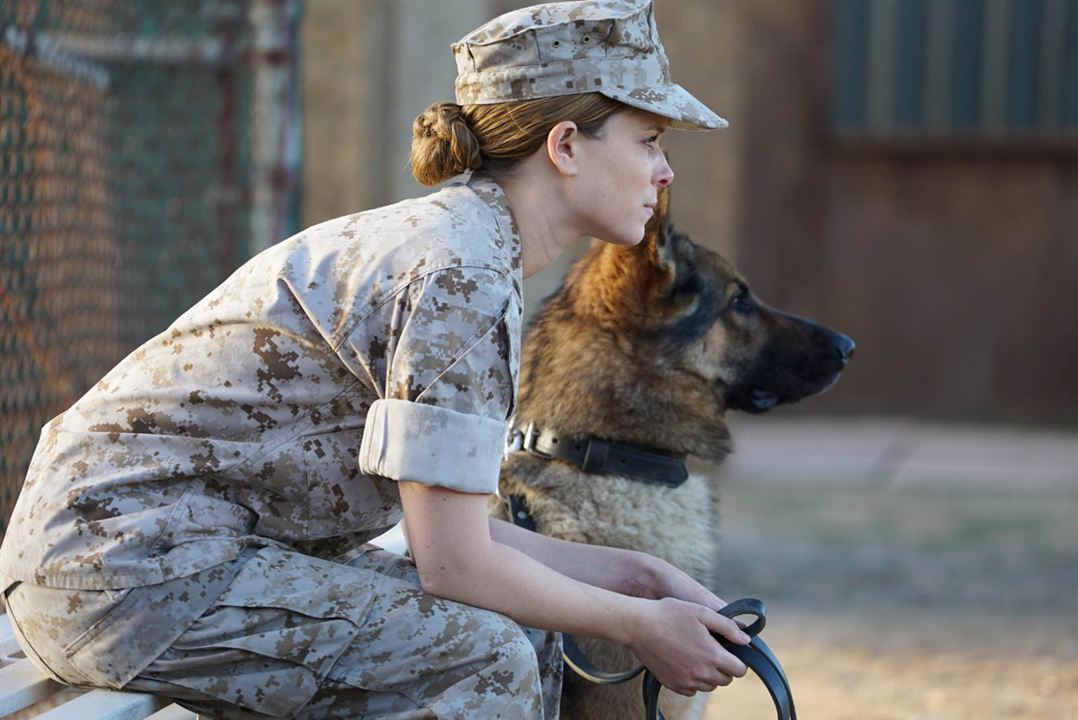 Sergeant Rex - Nicht ohne meinen Hund : Bild Kate Mara