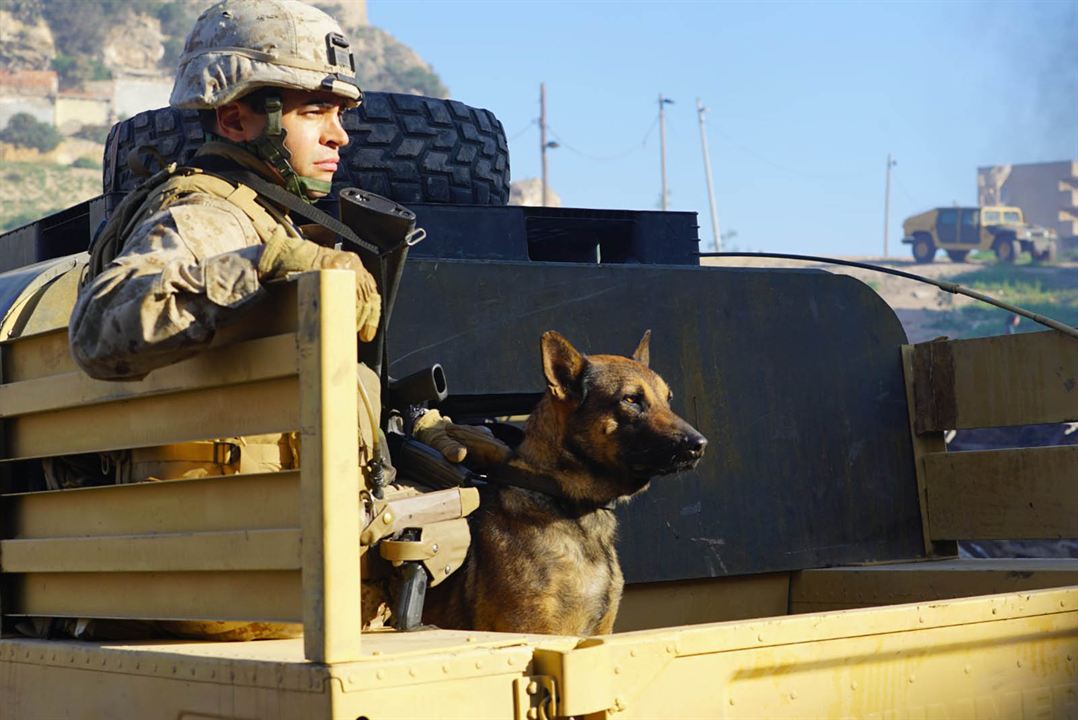 Sergeant Rex - Nicht ohne meinen Hund : Bild Ramon Rodríguez