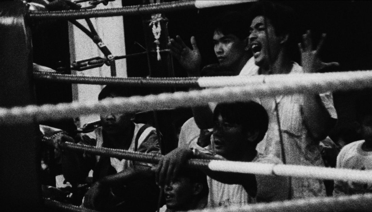 Geheimnisvolles Objekt am Mittag : Bild