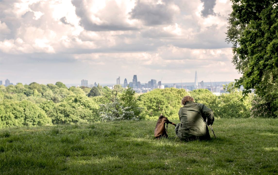 Hampstead Park - Aussicht auf Liebe : Bild Brendan Gleeson