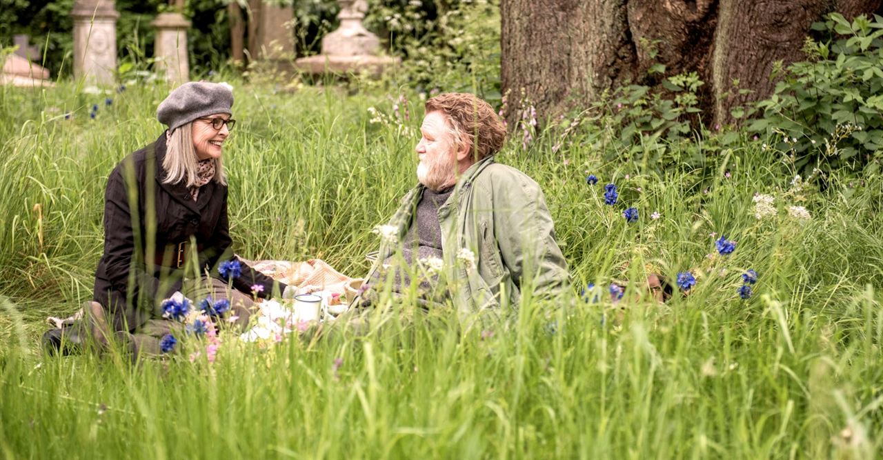 Hampstead Park - Aussicht auf Liebe : Bild Brendan Gleeson, Diane Keaton