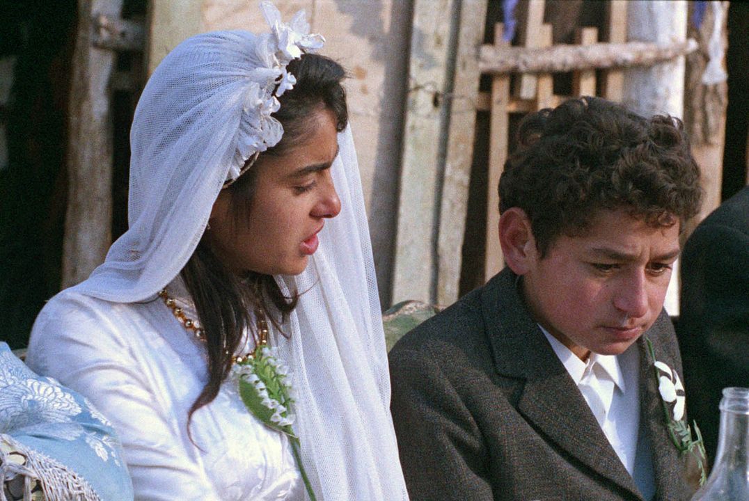 Ich traf sogar glückliche Zigeuner : Bild