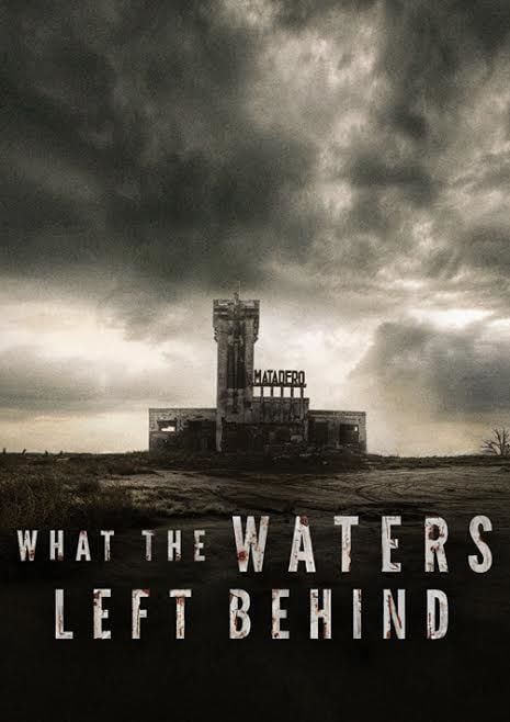 What The Waters Left Behind : Kinoposter