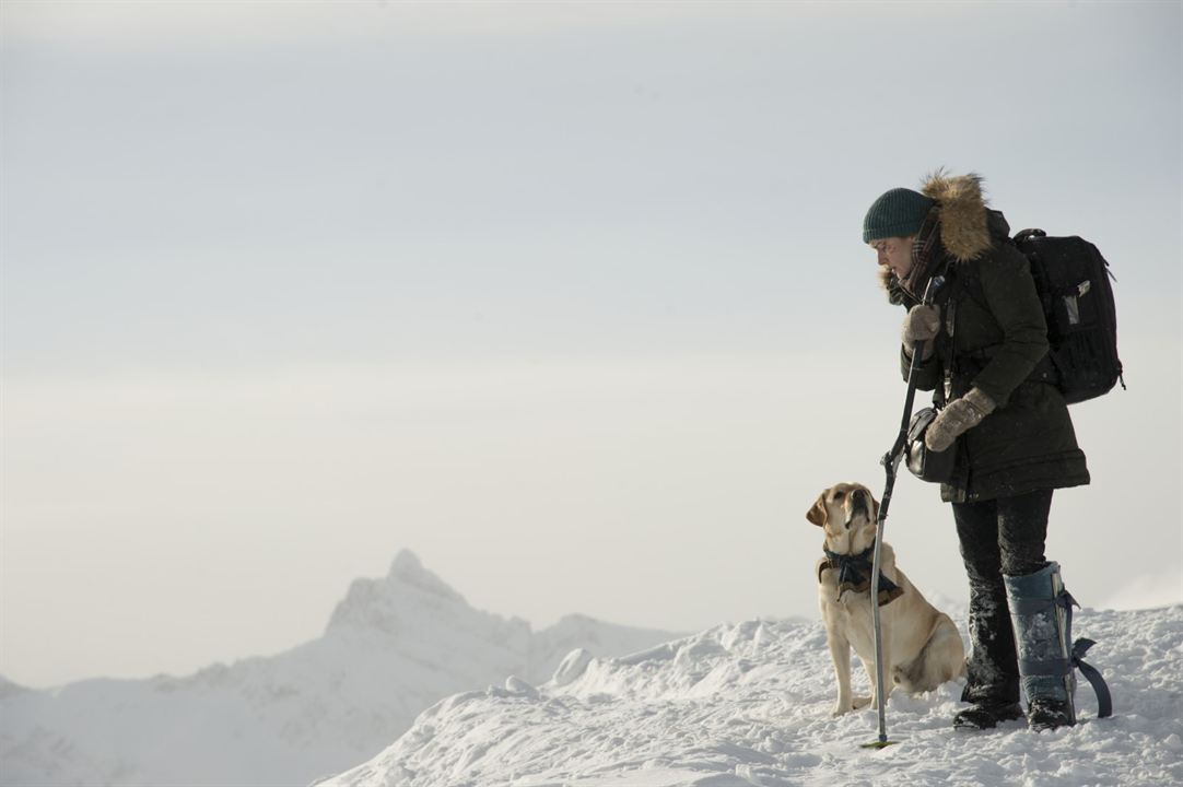 Zwischen zwei Leben - The Mountain Between Us : Bild Kate Winslet