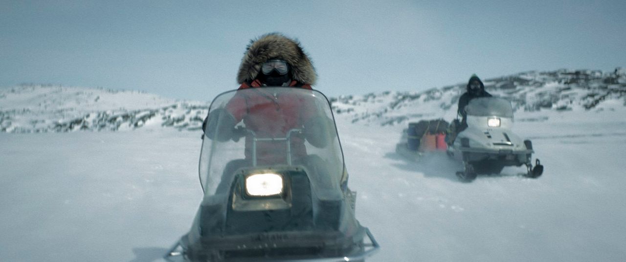 Rendezvous mit einem Eisbär : Bild