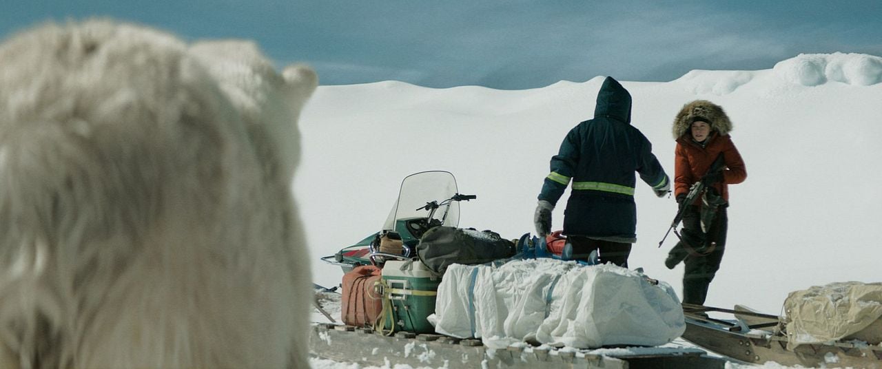 Rendezvous mit einem Eisbär : Bild