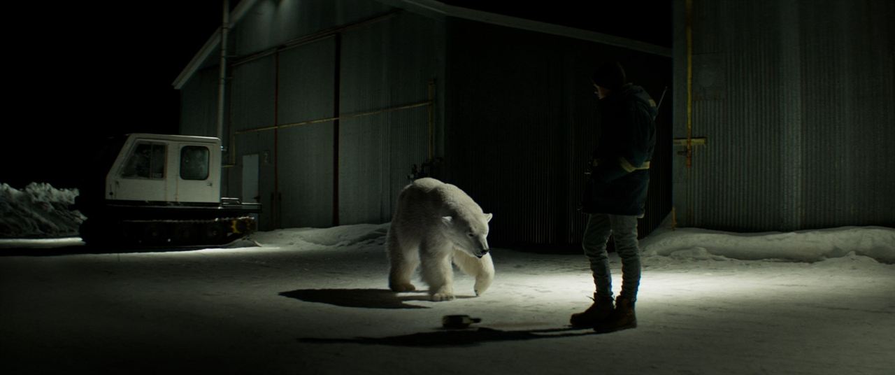 Rendezvous mit einem Eisbär : Bild