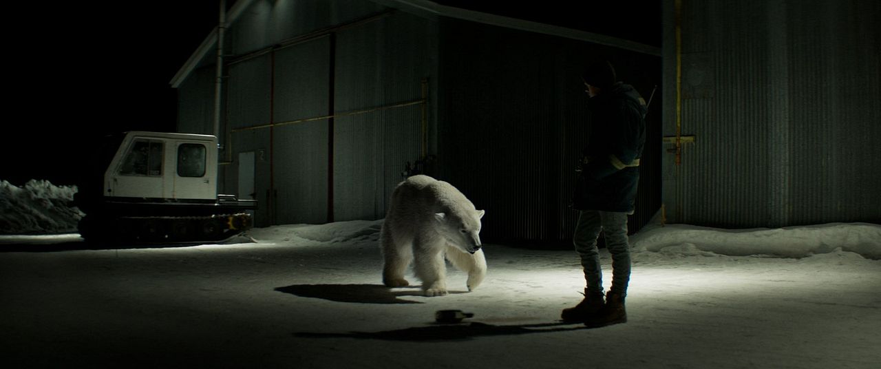 Rendezvous mit einem Eisbär : Bild