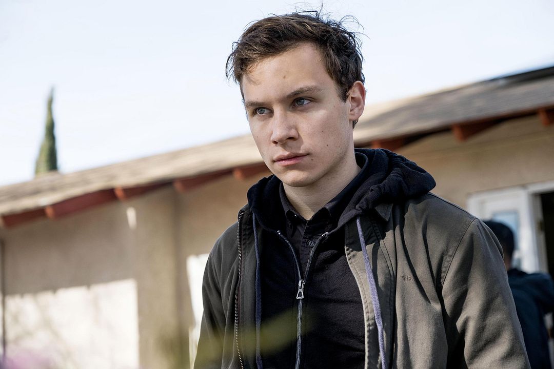 Animal Kingdom : Bild Finn Cole