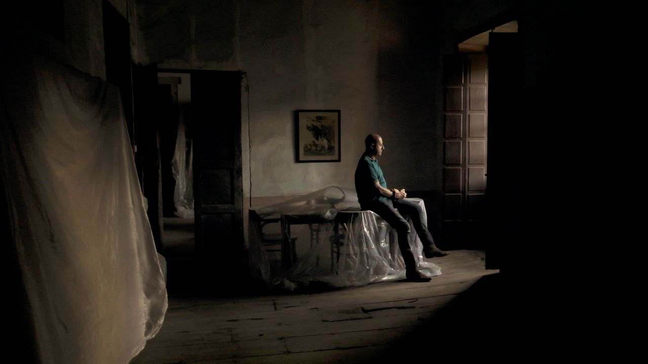 Mi vida entre las hormigas : Bild