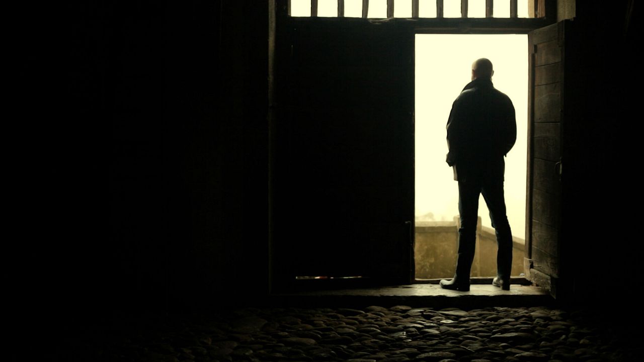 Mi vida entre las hormigas : Bild