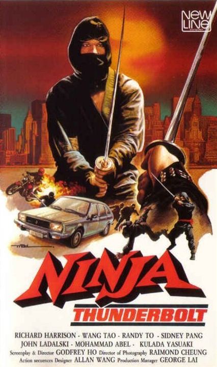 Der Ninja : Kinoposter
