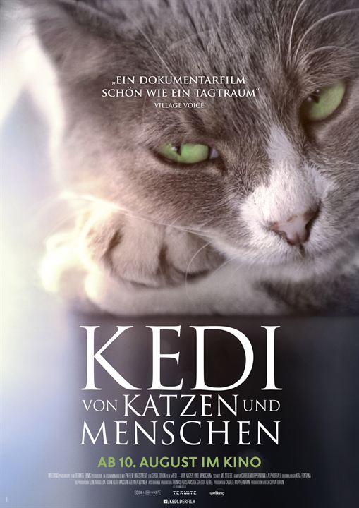 Kedi - Von Katzen und Menschen : Kinoposter