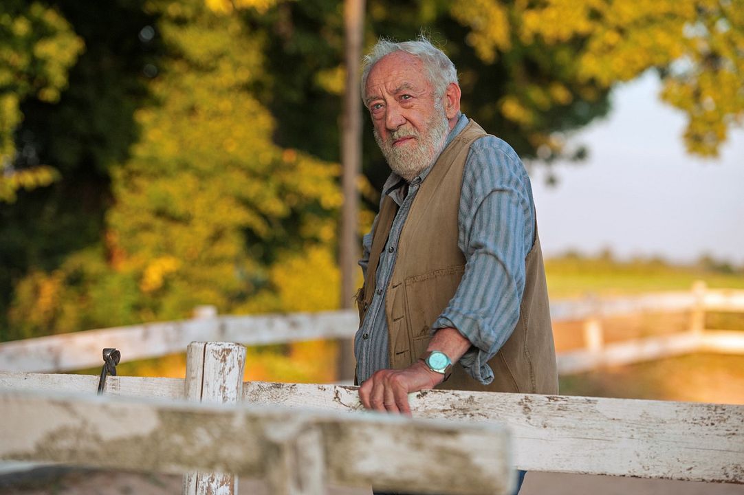 Rock My Heart : Bild Dieter Hallervorden