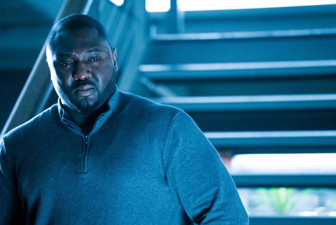 Zoo : Bild Nonso Anozie