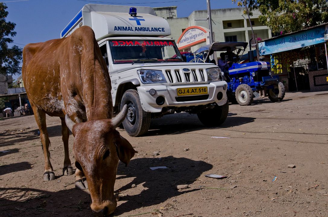 The End Of Meat - Eine Welt ohne Fleisch : Bild