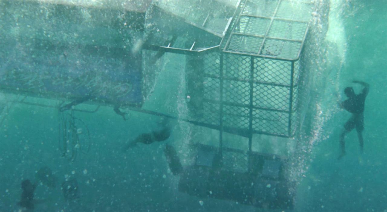 Open Water: Cage Dive : Bild