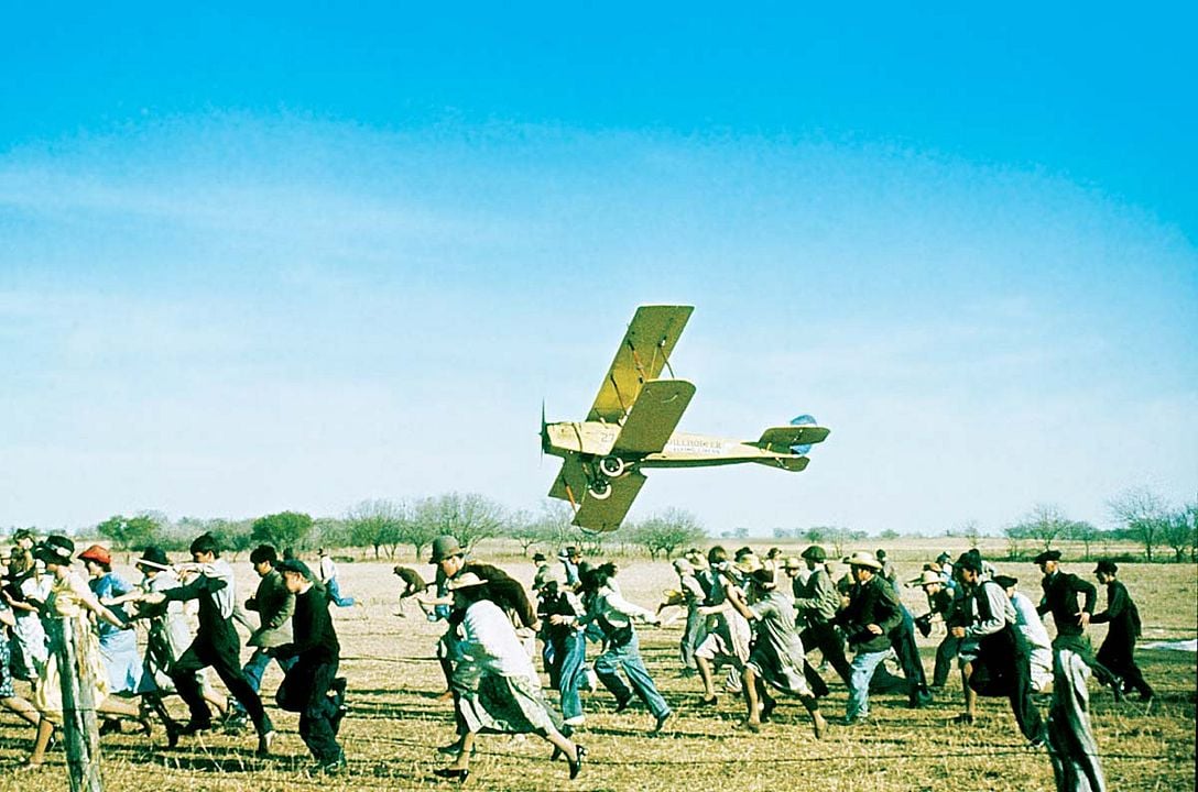 Tollkühne Flieger : Bild