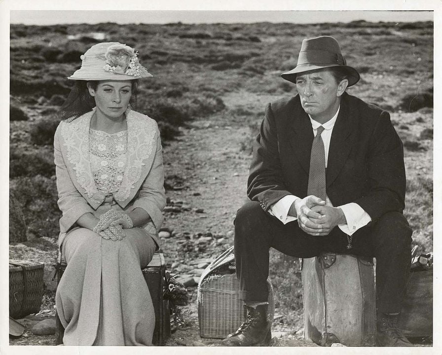 Ryan's Tochter : Bild