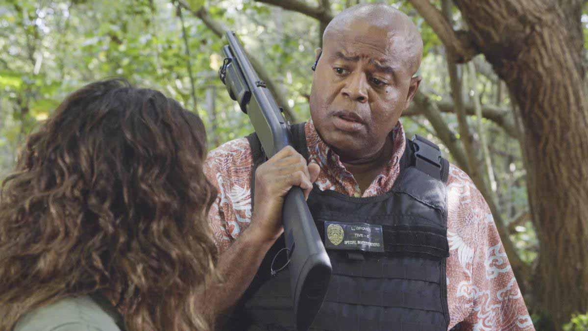 Hawaii Five-0 : Bild Chi McBride