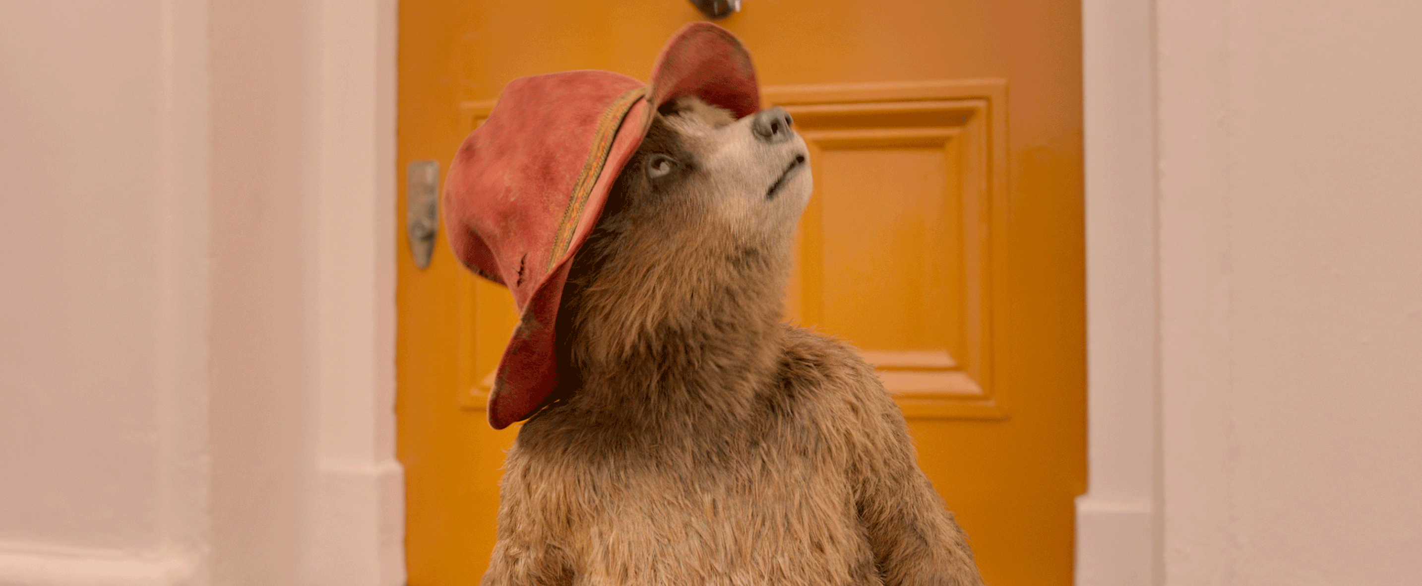 Paddington 2 : Bild