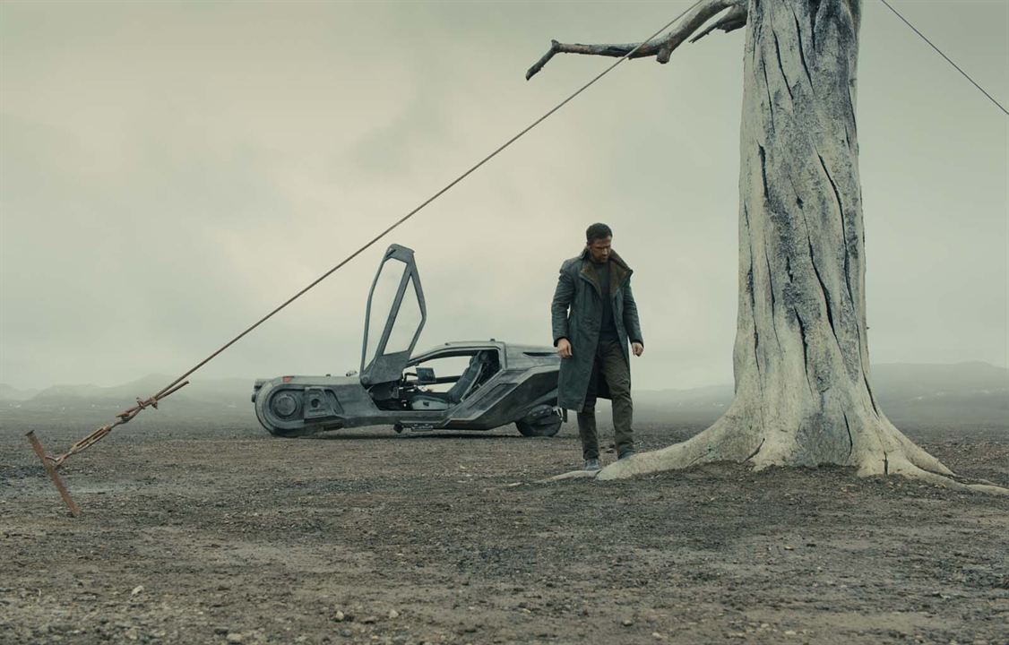 Blade Runner 2049 : Bild Ryan Gosling