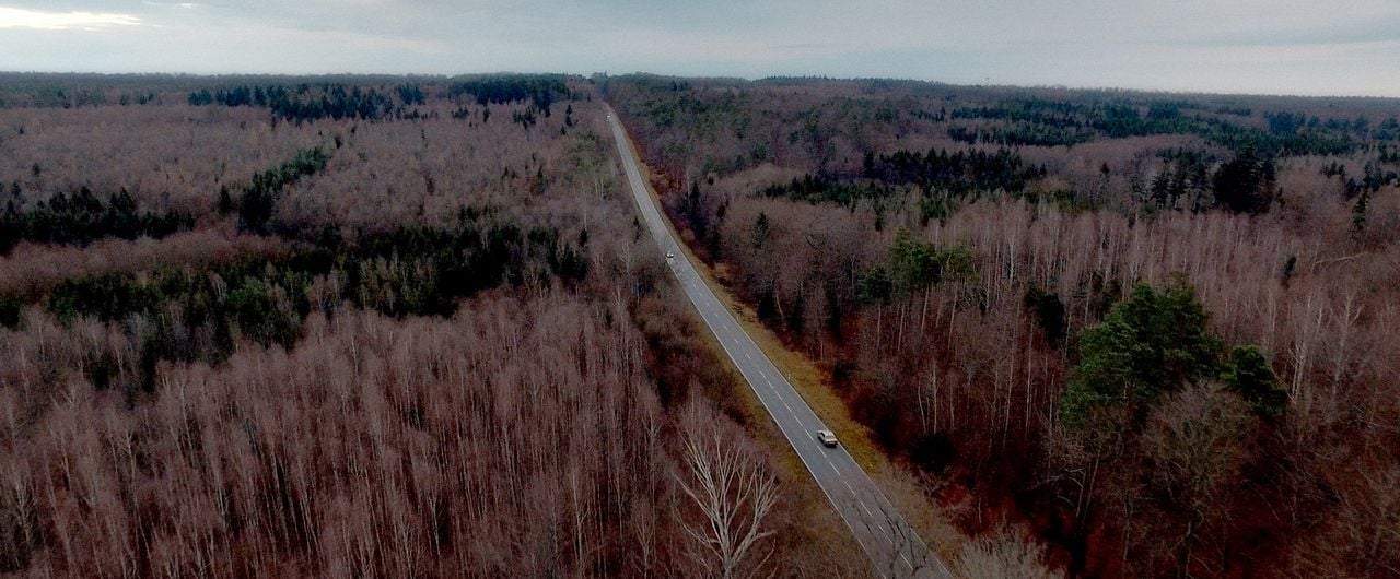 Die Vierhändige : Bild