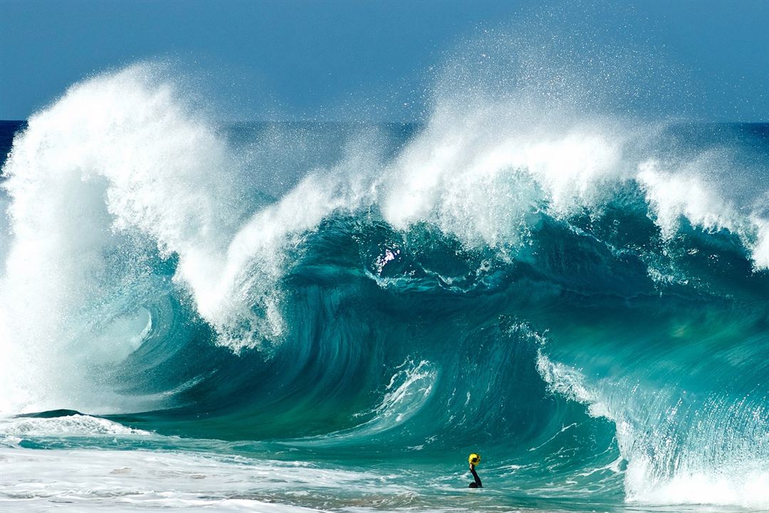 Shorebreak - Die perfekte Welle. Clark Little - Wellenfotograf : Bild