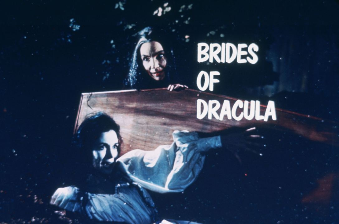 Dracula und seine Bräute : Bild